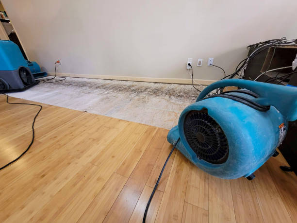 Professional Flood Damage Cleanup technician working in Vienna, IL